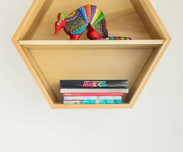 Juub Hip,colorful Studio With Patio In Roma Norte
