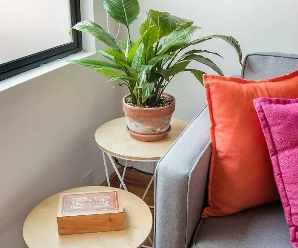 Juub Hip,colorful Studio With Patio In Roma Norte Mexico City